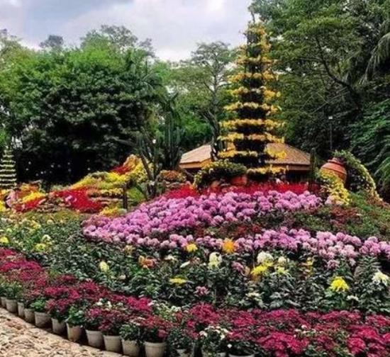 自贡城市广场菊展施工